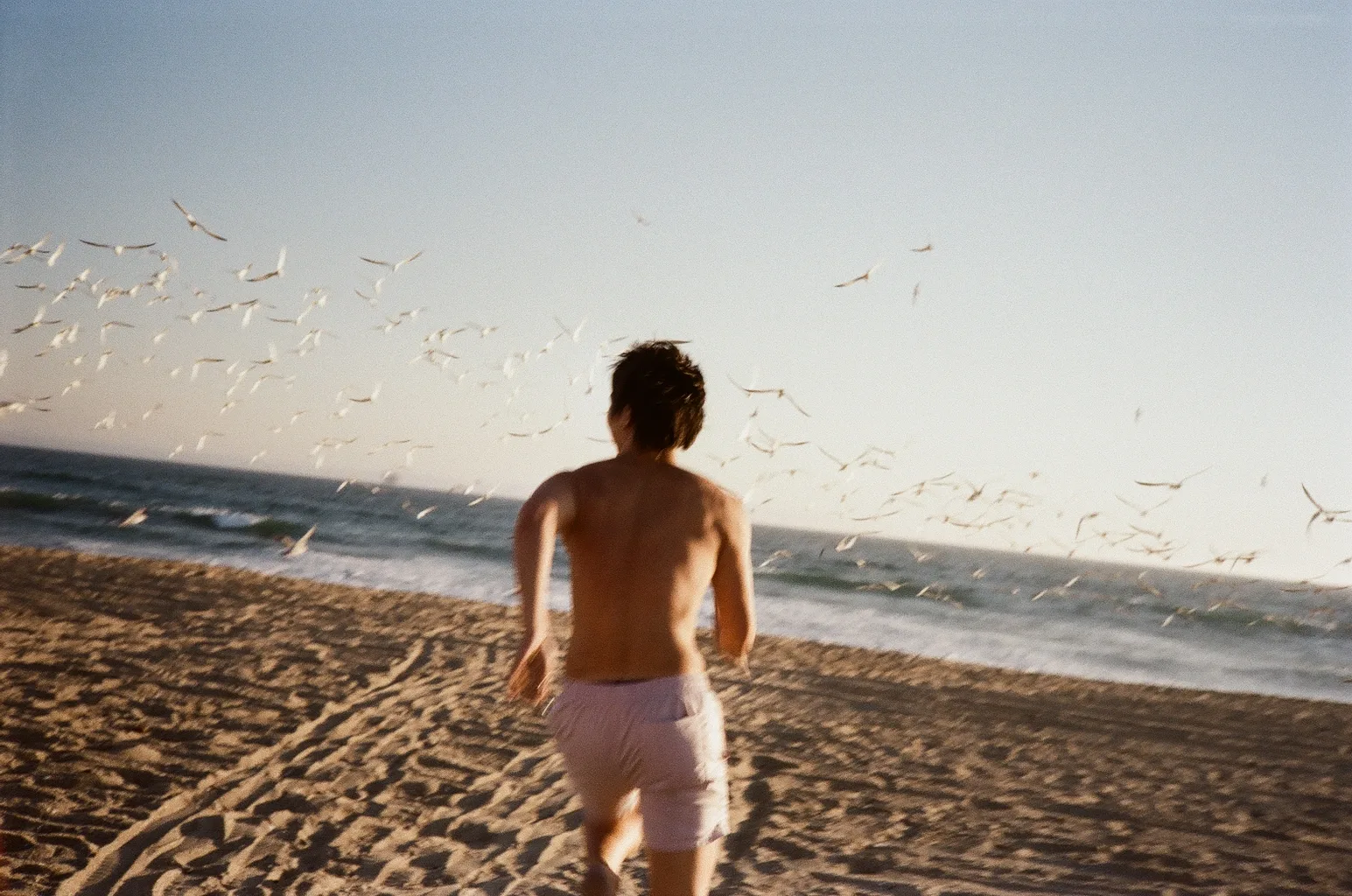 Person running toward the ocean through a flock of seagulls on the beach