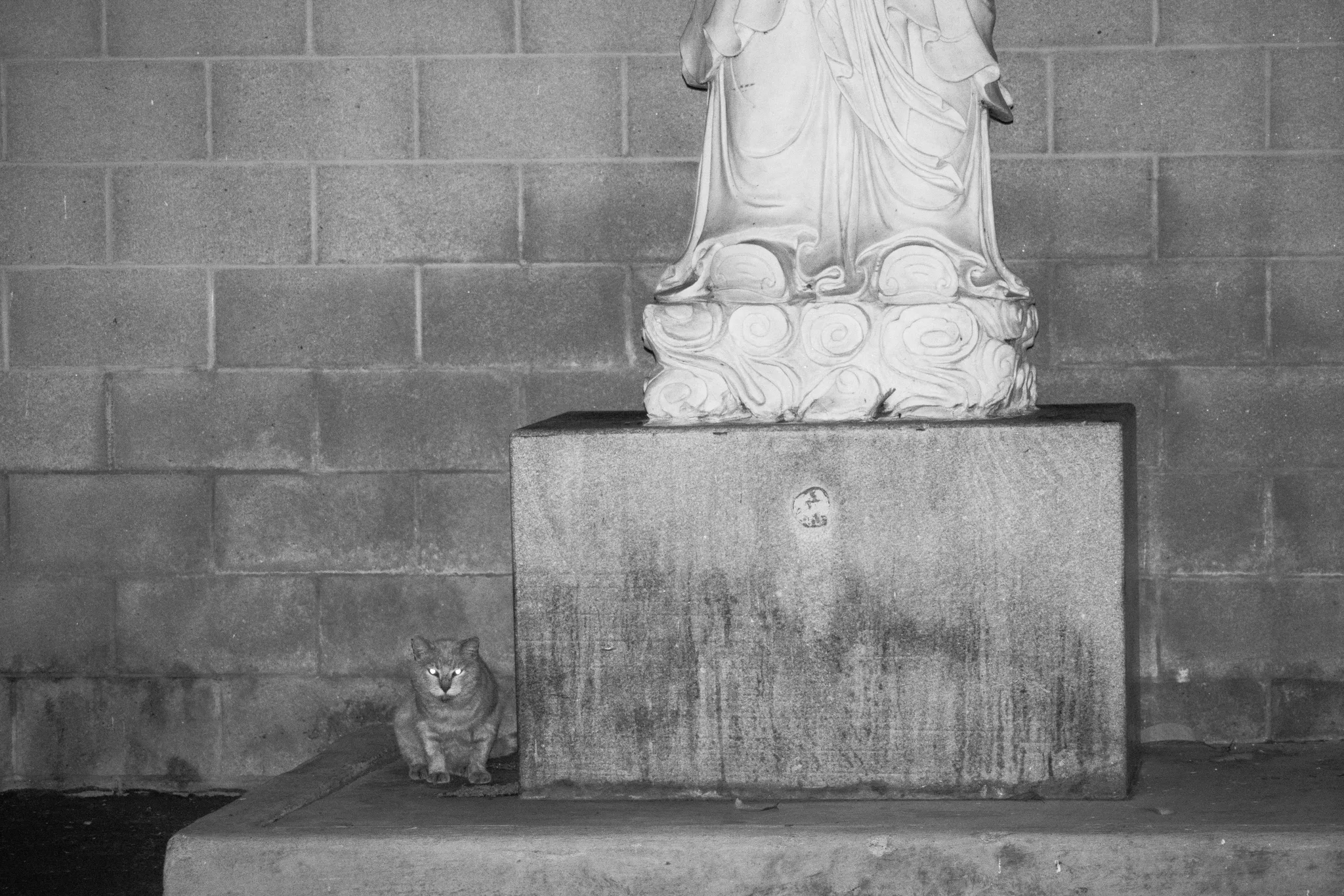 Cat sitting beneath a stone statue on a weathered pedestal against a brick wall