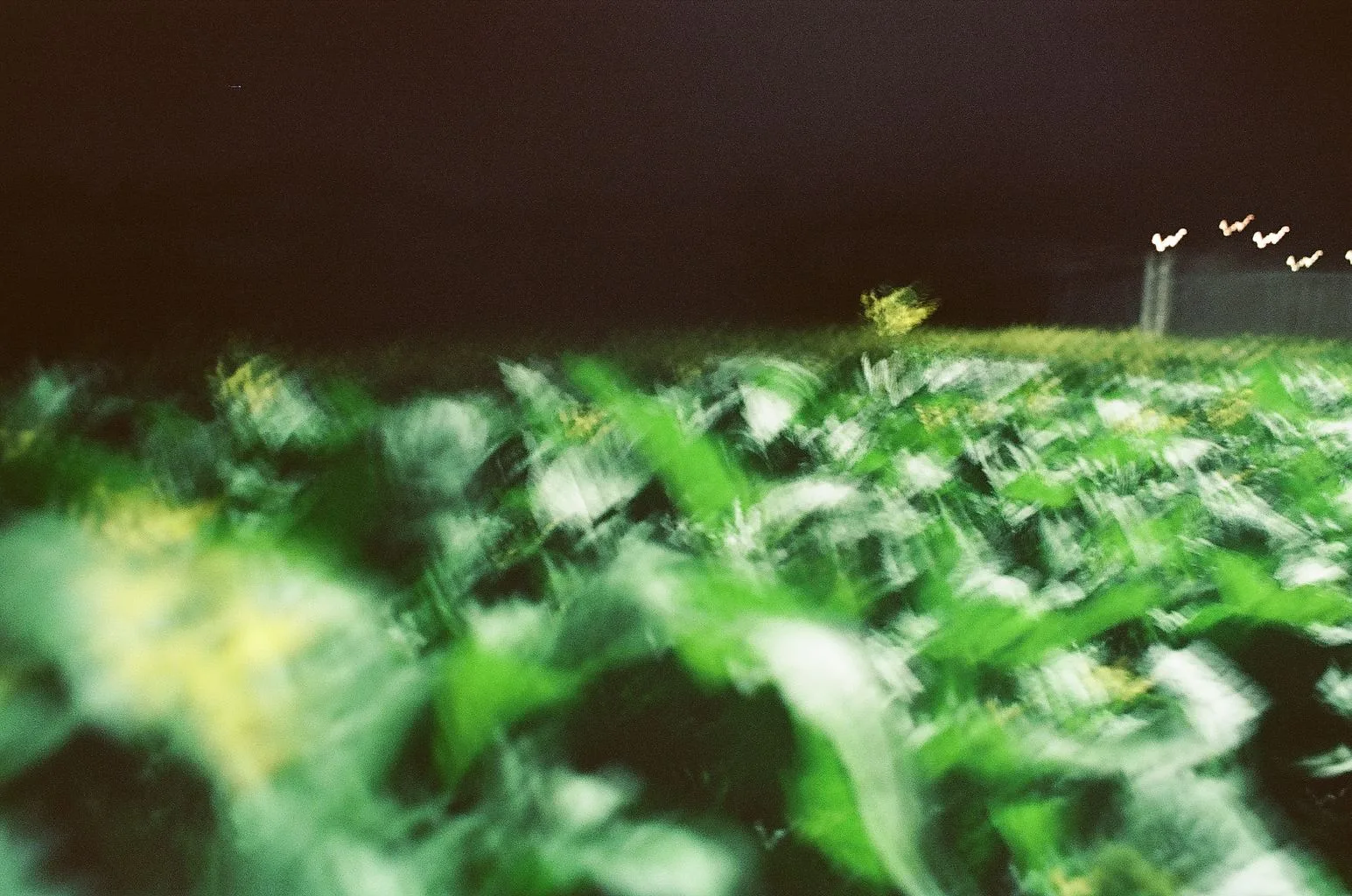 Motion-blurred green field under distant stadium lights at night