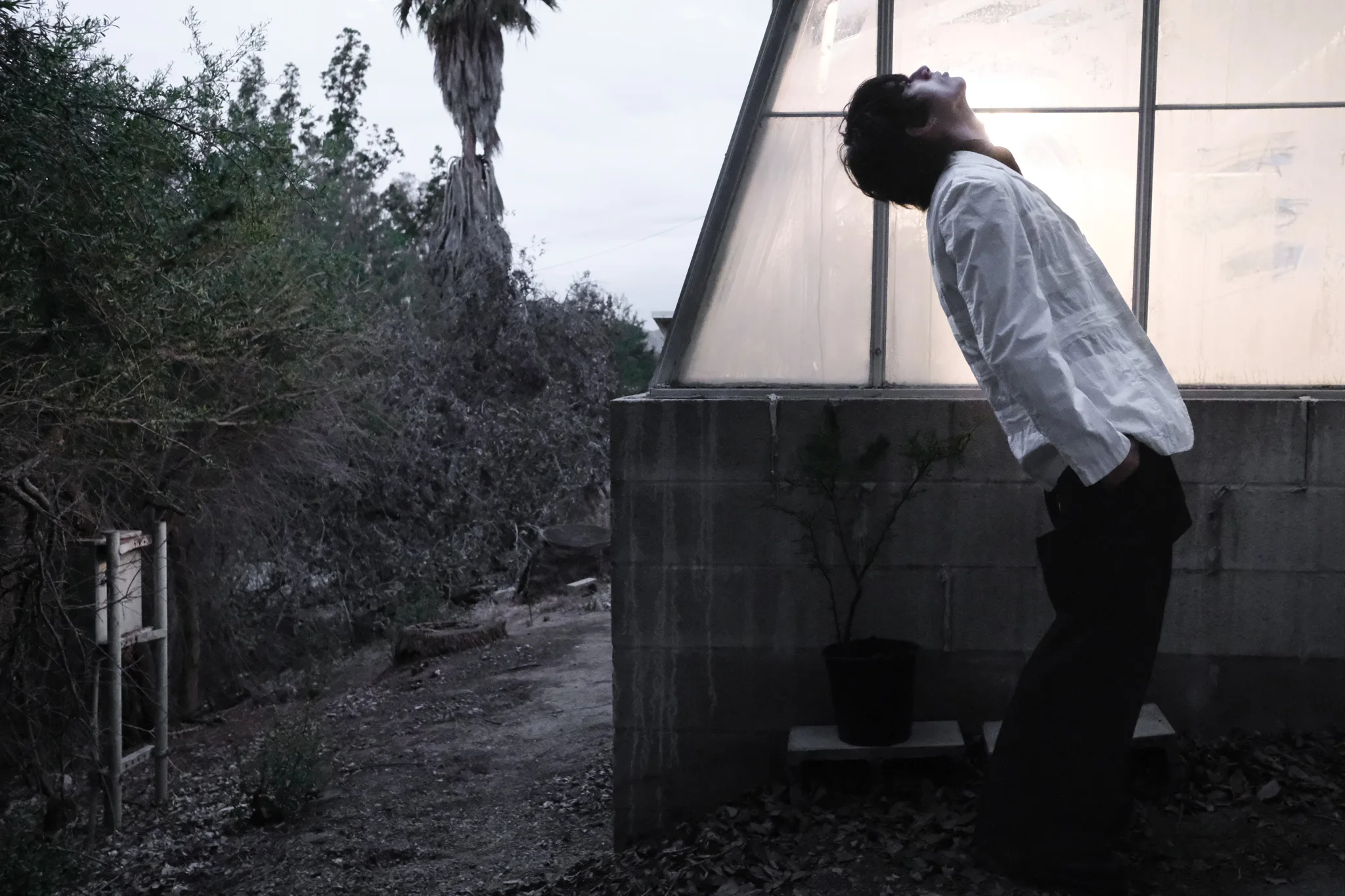 Black-and-white photo of a model in a white shirt leaning back beneath a greenhouse wall at dusk