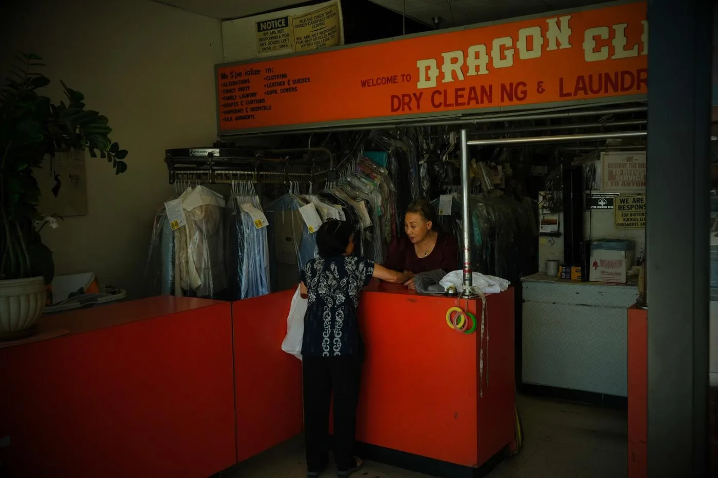 Customer at the red counter of Dragon Cleaners, garments hanging in plastic behind