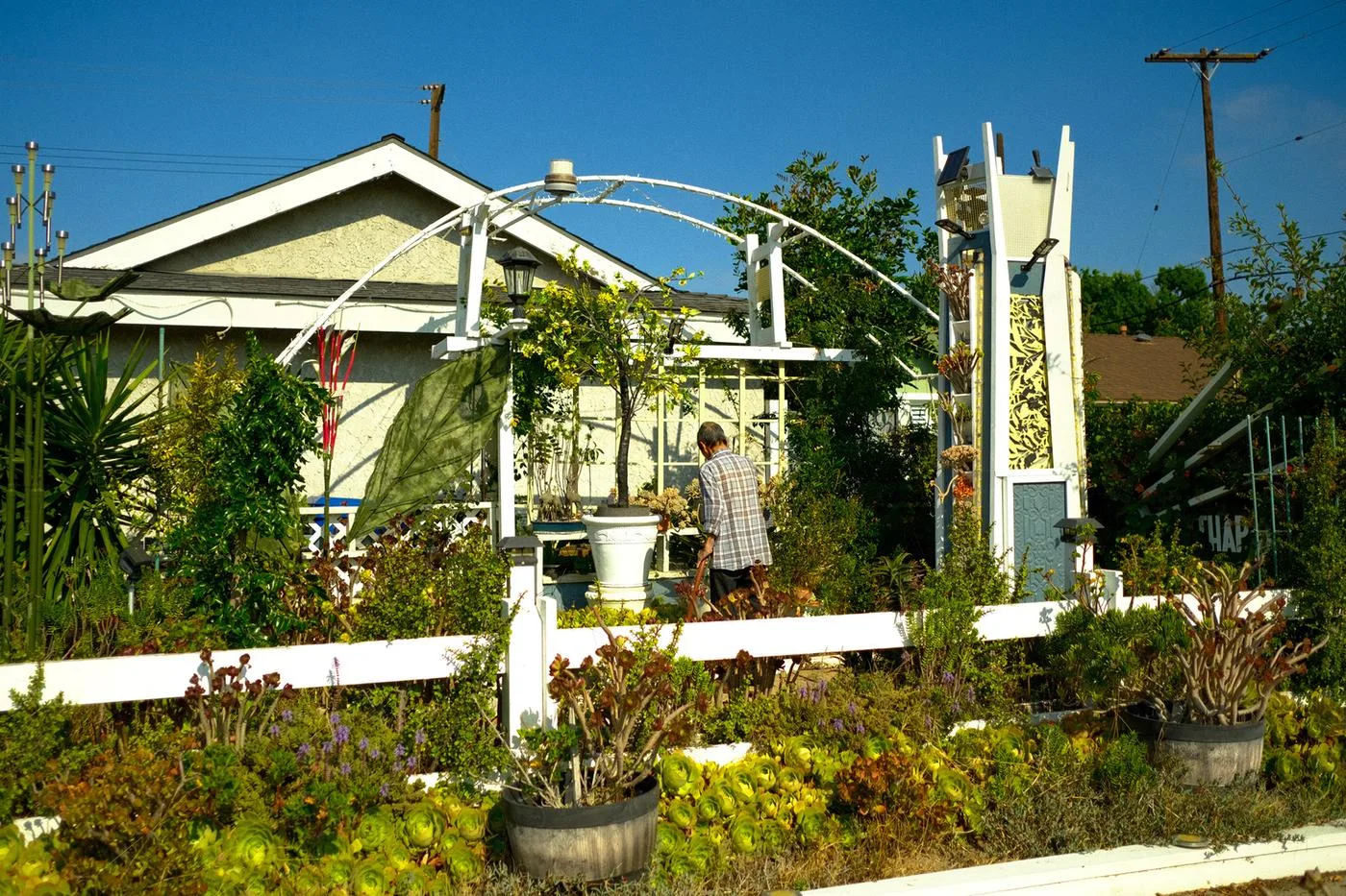 Man tending a front-yard garden with a white arch and dense potted plants