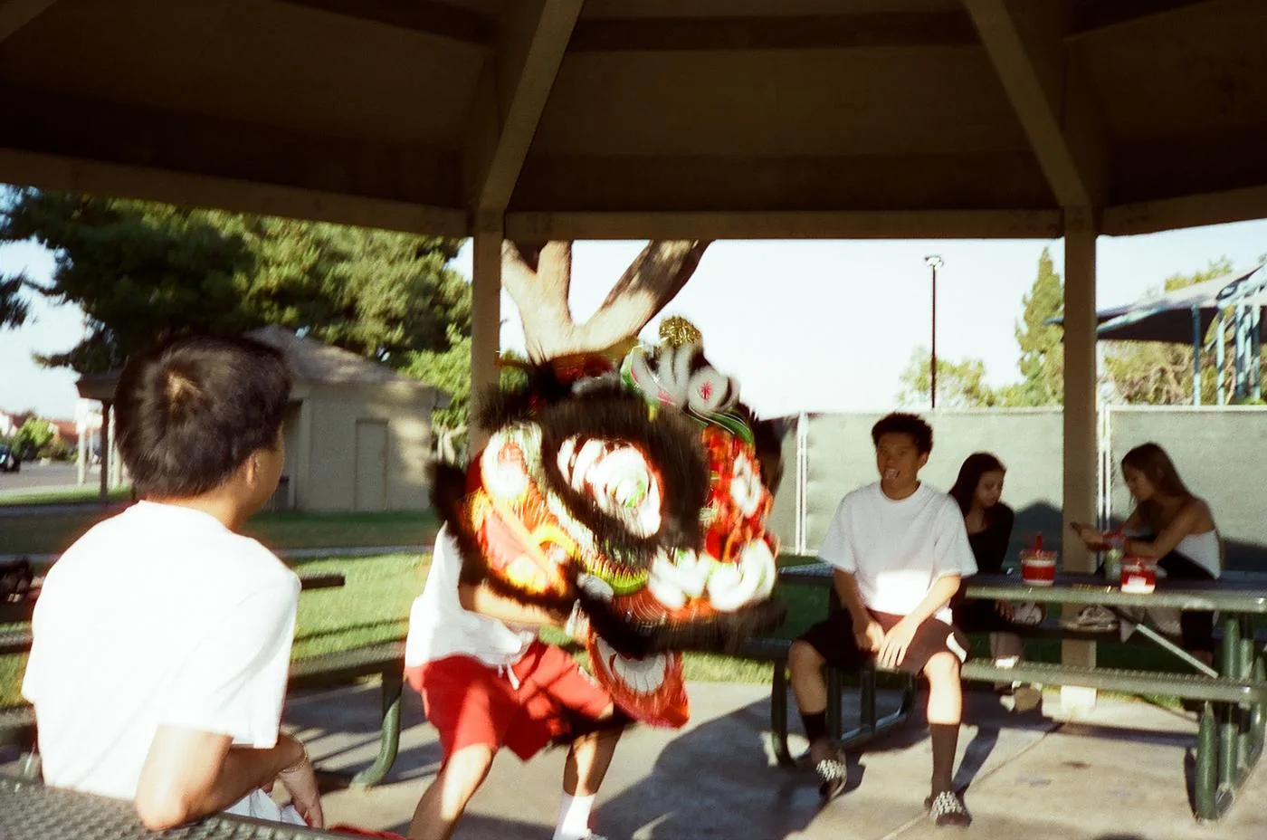 Young lion dancers practicing with a costume head under a park gazebo