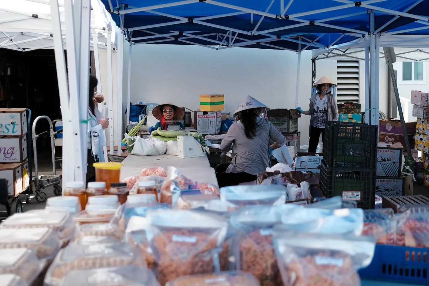 Vendors in conical hats under blue canopies selling bags of dried shrimp at an outdoor market